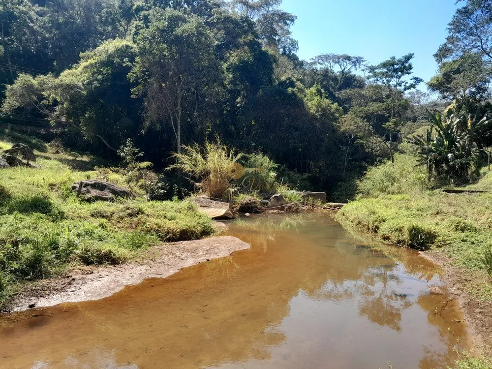 Fazenda, 39 hectares - Foto 52