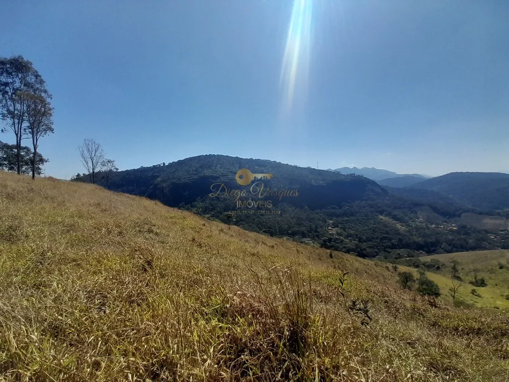 Fazenda, 39 hectares - Foto 16