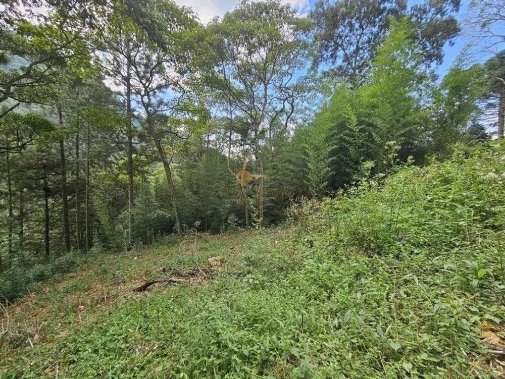 Terreno à venda, 670m² - Foto 3