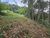 Terreno, 670 m² - Foto 4