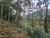 Terreno, 670 m² - Foto 6