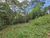 Terreno, 670 m² - Foto 3