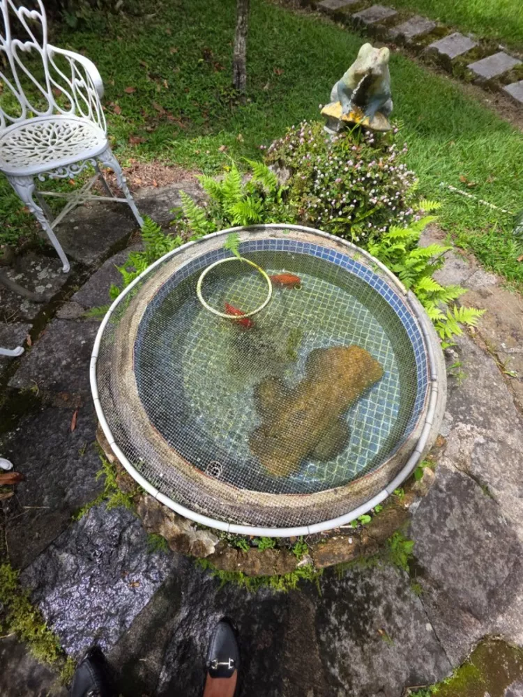 Fazenda-Sítio-Chácara, 183 m² - Foto 27