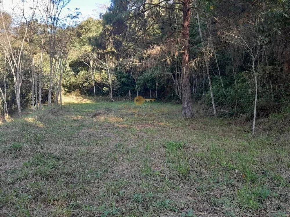 Sítio, 4 quartos, 3 hectares - Foto 30