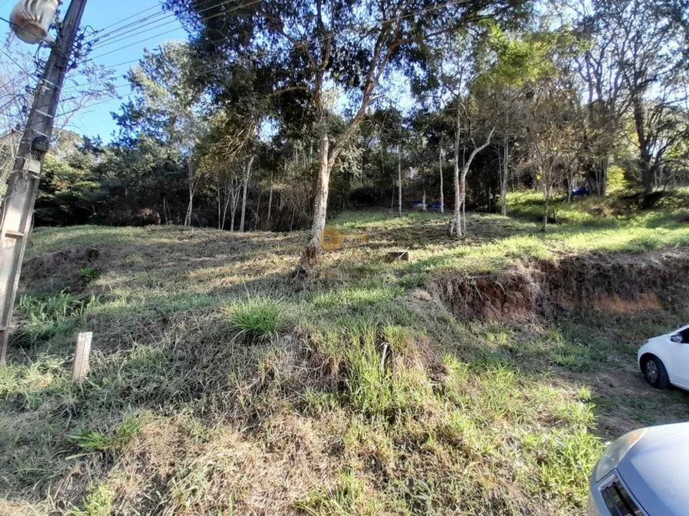 Sítio, 4 quartos, 3 hectares - Foto 12