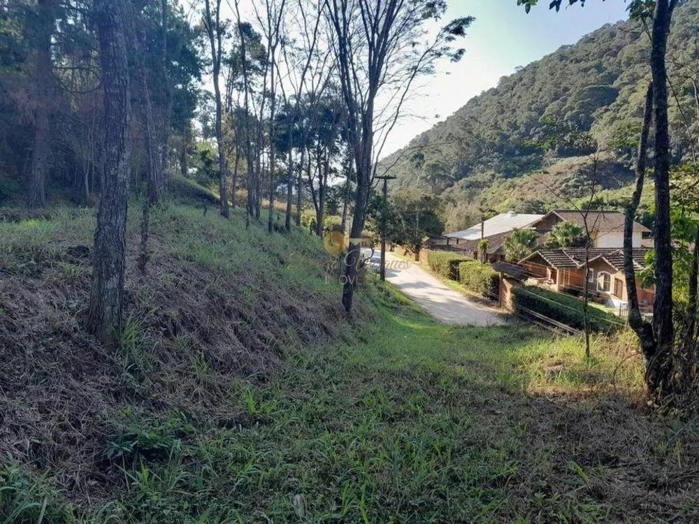 Sítio, 4 quartos, 3 hectares - Foto 46