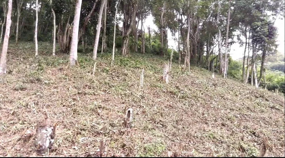 Terreno, 1512 m² - Foto 2