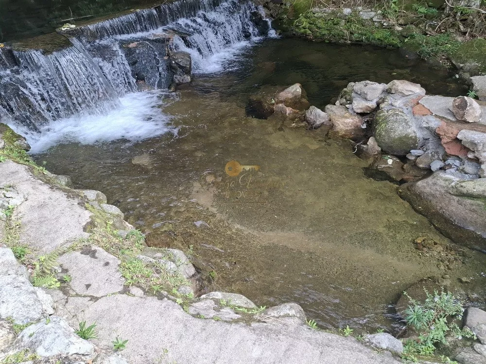 Sítio, 4 quartos, 2 hectares - Foto 62