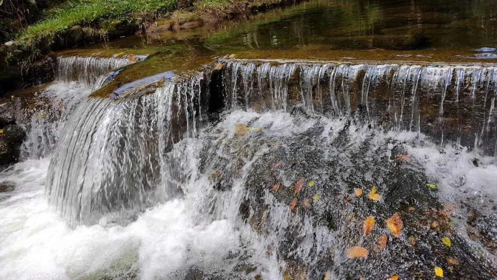 Sítio, 4 quartos, 2 hectares - Foto 64
