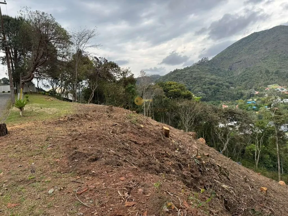 Terreno, 1385 m² - Foto 8