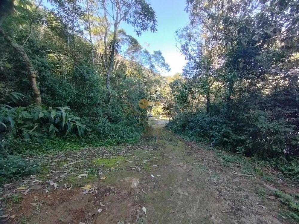 Terreno, 10000 m² - Foto 19
