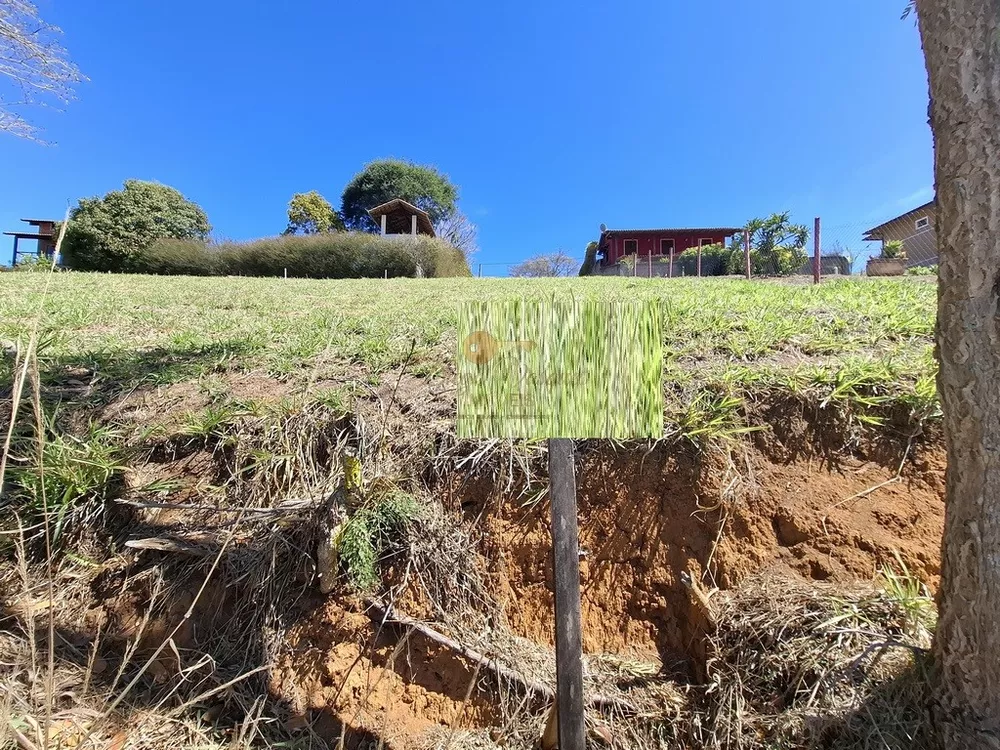 Terreno, 315 m² - Foto 4