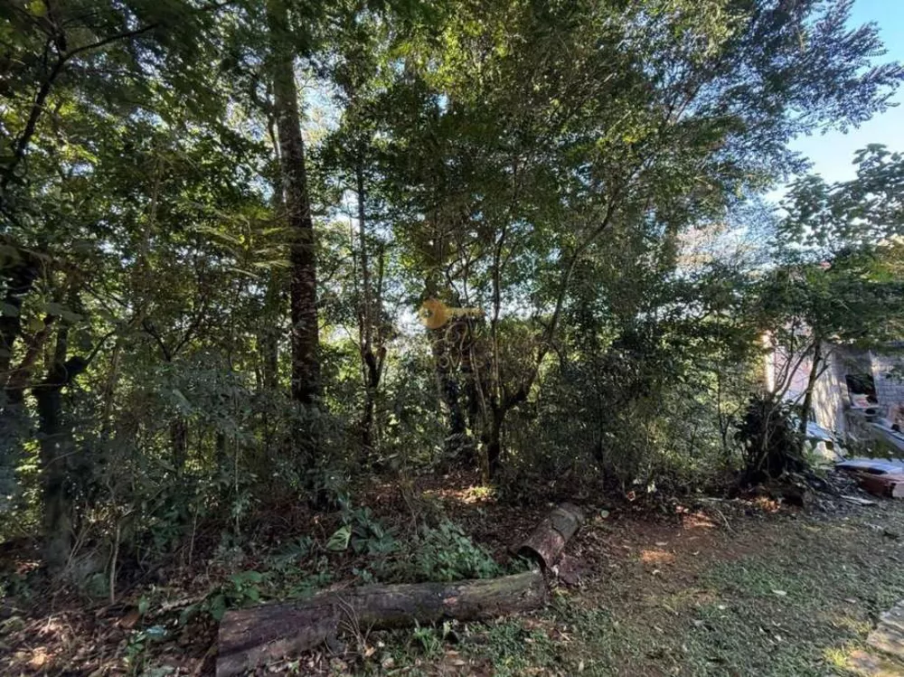 Terreno, 405 m² - Foto 7