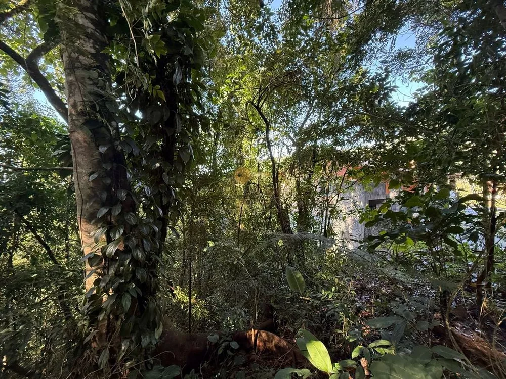 Terreno, 405 m² - Foto 12
