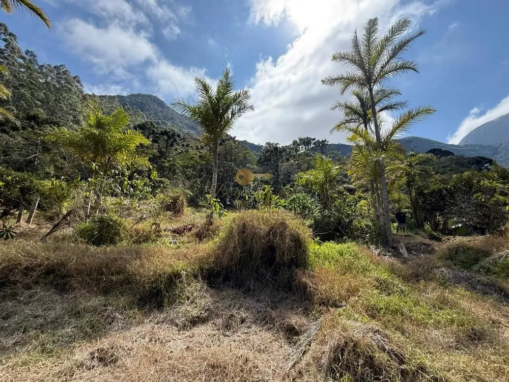 Terreno, 2 hectares - Foto 8