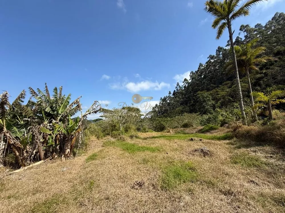 Terreno, 2 hectares - Foto 7