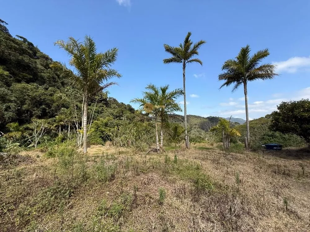 Terreno, 2 hectares - Foto 1