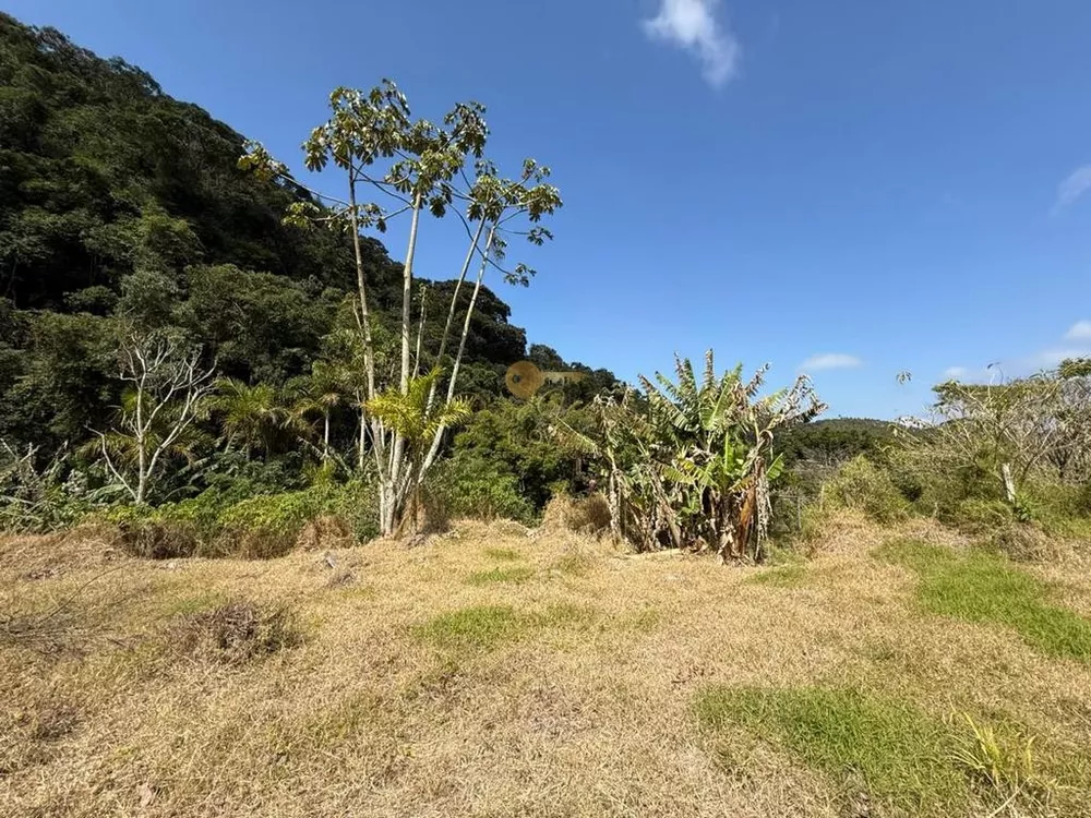 Terreno, 2 hectares - Foto 10