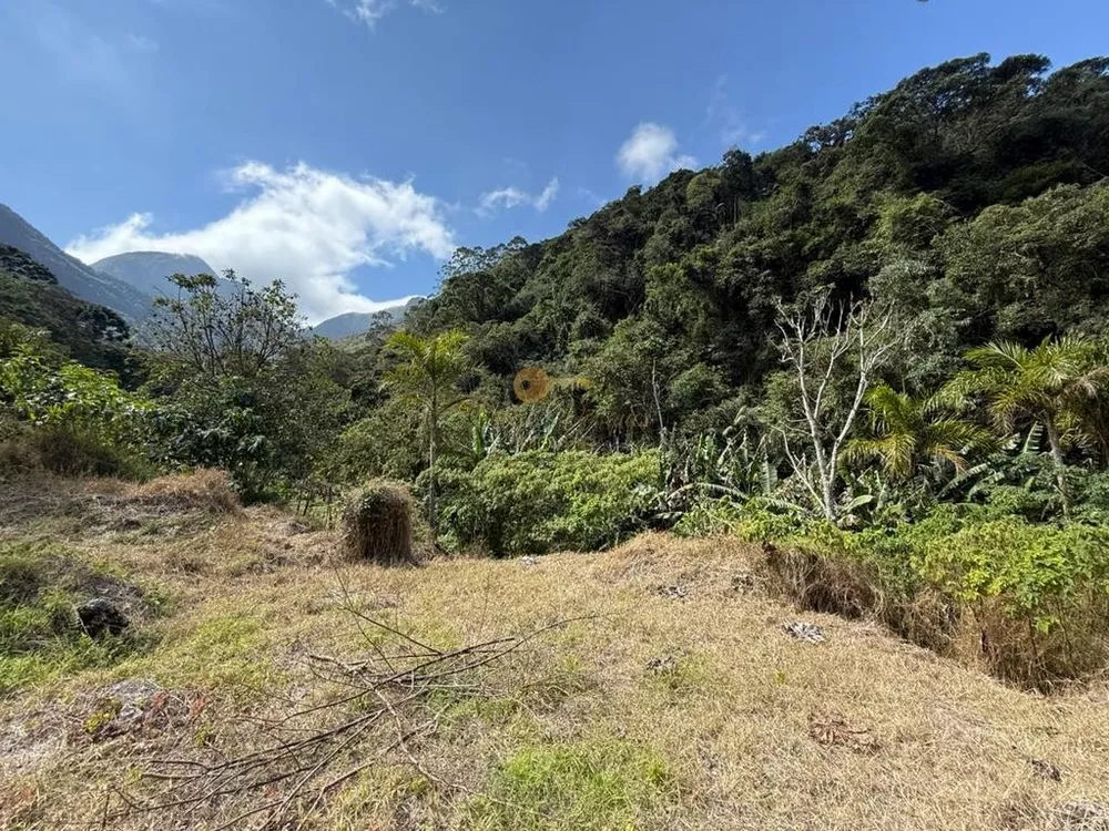 Terreno, 2 hectares - Foto 14