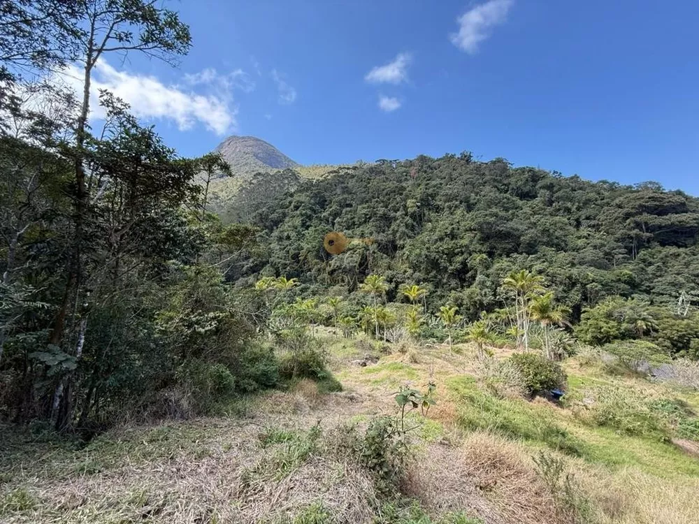 Terreno, 2 hectares - Foto 4