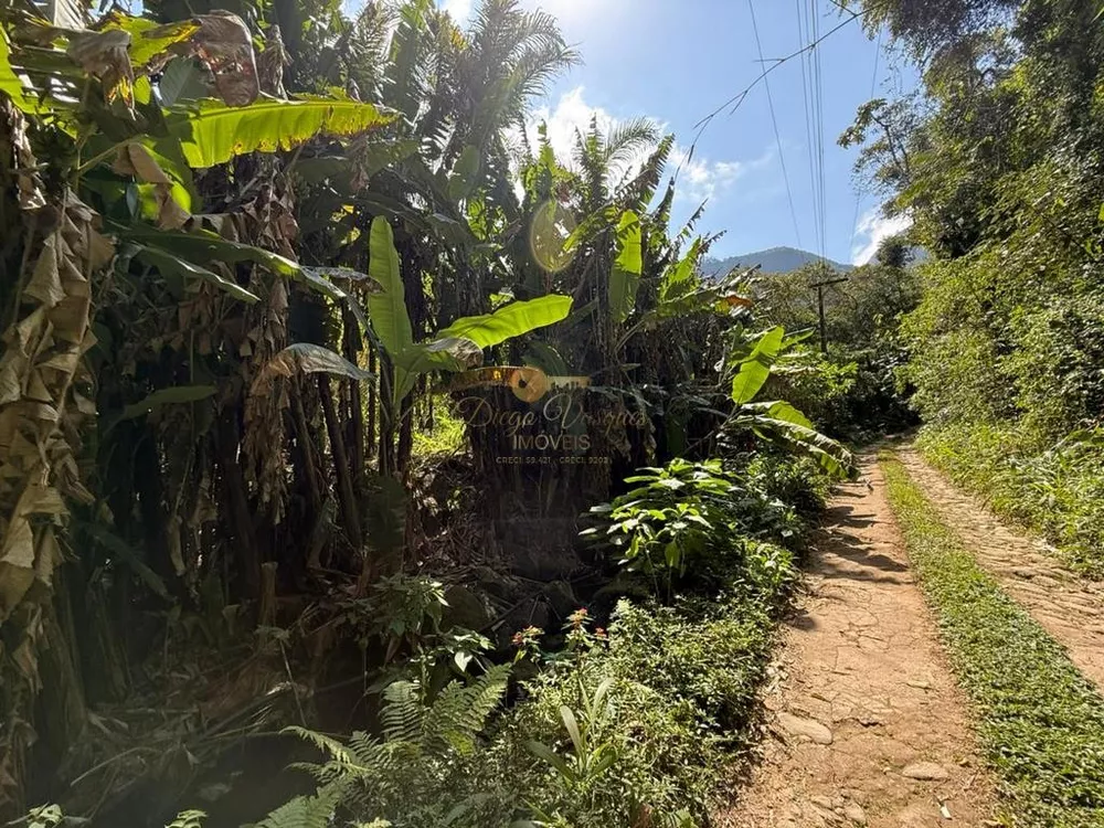 Terreno, 2 hectares - Foto 6