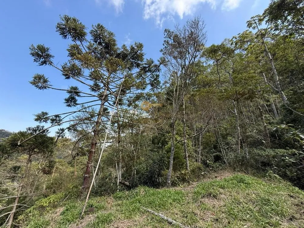 Terreno, 2 hectares - Foto 16