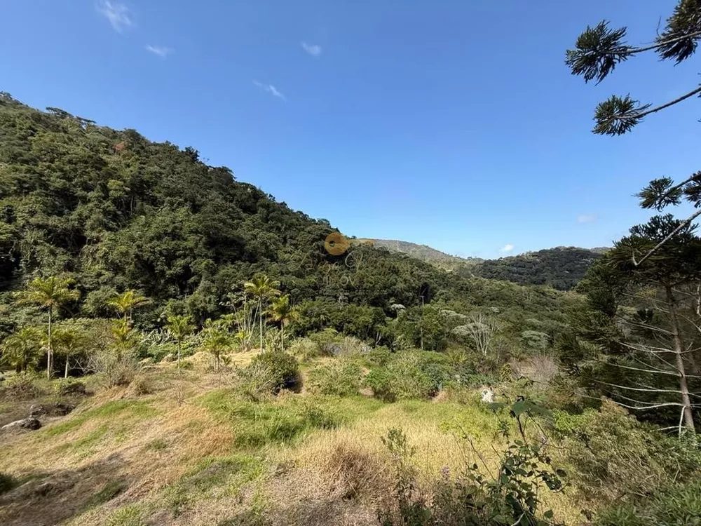 Terreno, 2 hectares - Foto 12