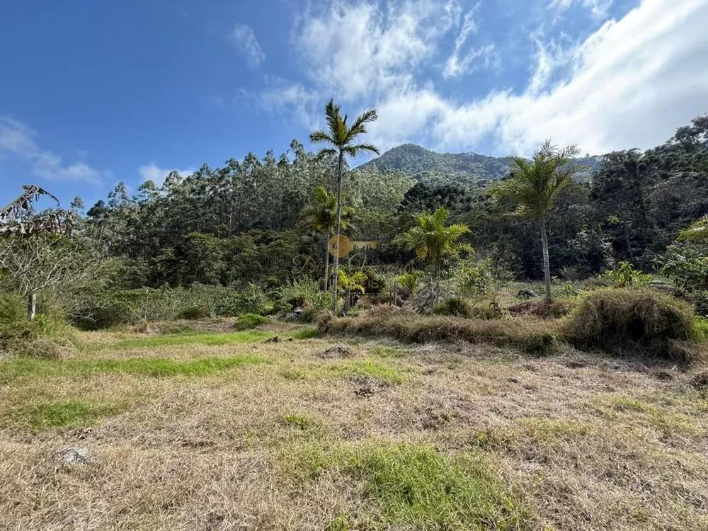 Terreno, 2 hectares - Foto 13