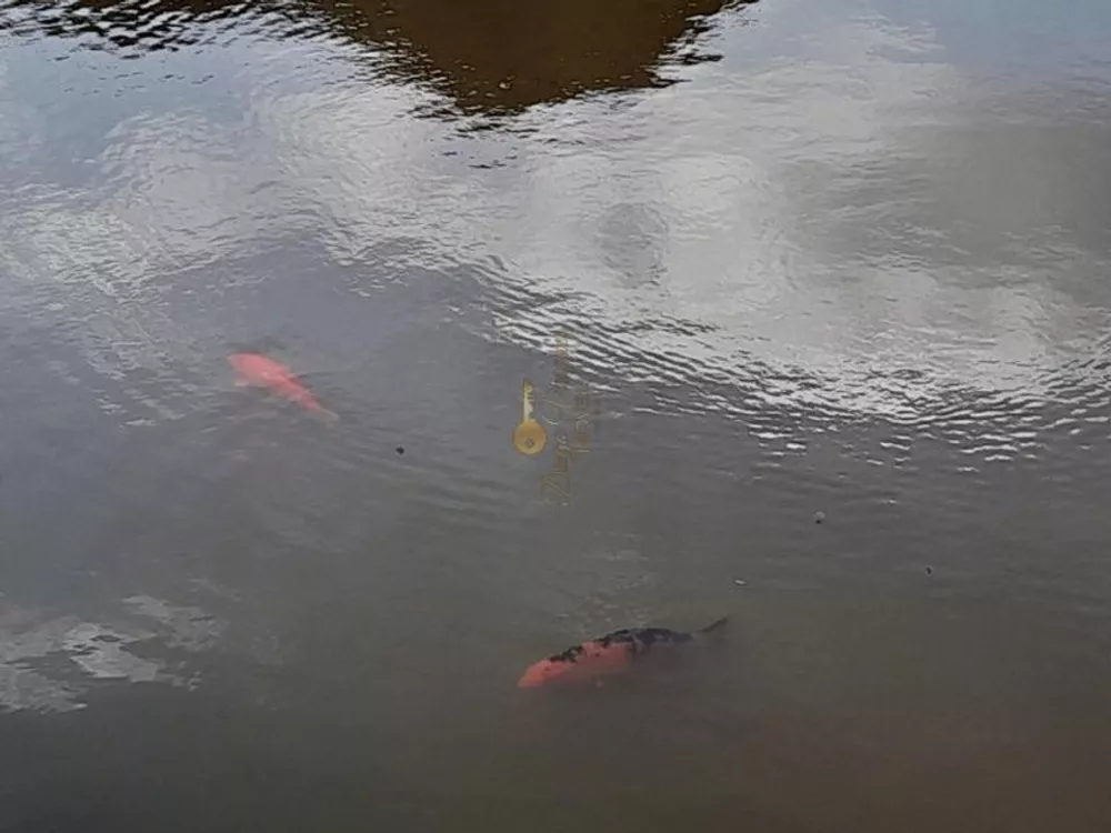 Casa de Condomínio, 2 quartos - Foto 21