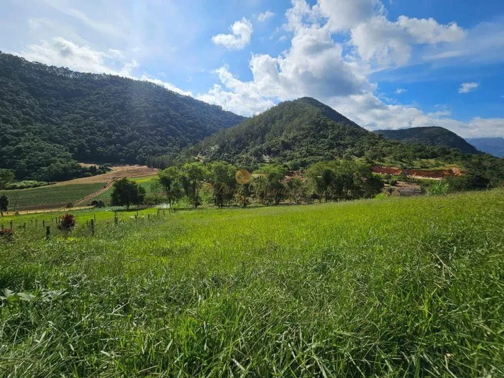 Terreno, 393 m² - Foto 6