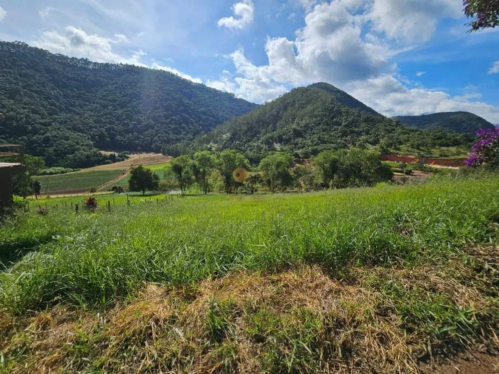 Terreno, 393 m² - Foto 4