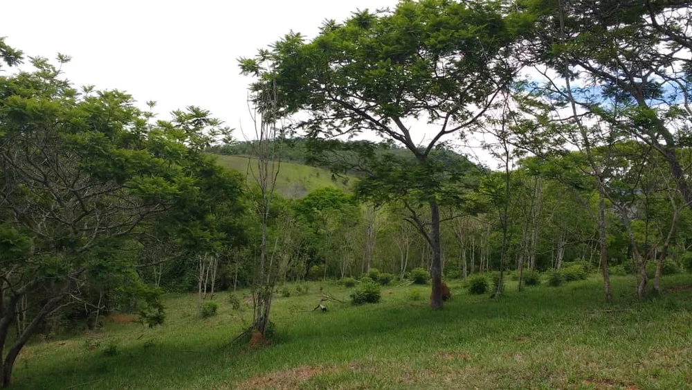 Chácara, 6 quartos, 2 hectares - Foto 28