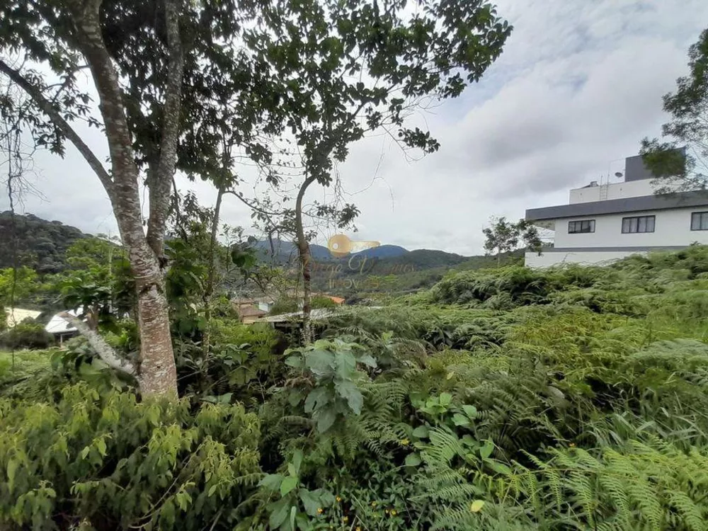 Terreno, 243 m² - Foto 5