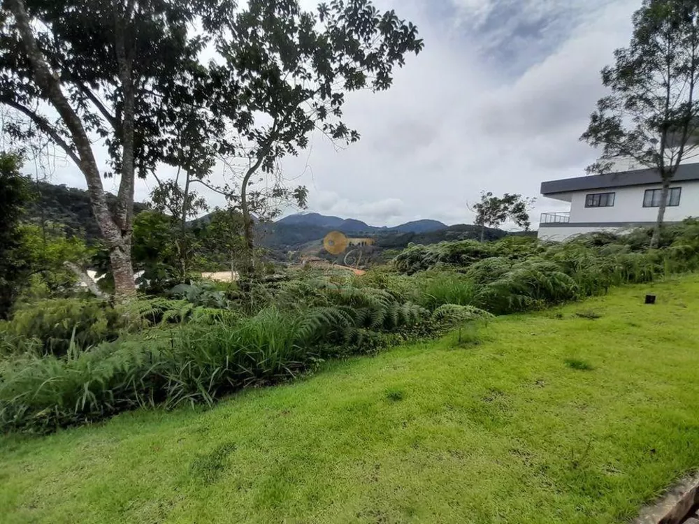 Terreno, 243 m² - Foto 4