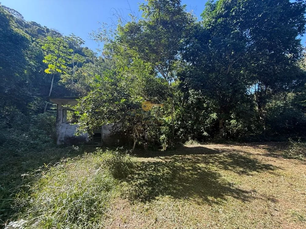 Sítio, 12 hectares - Foto 21