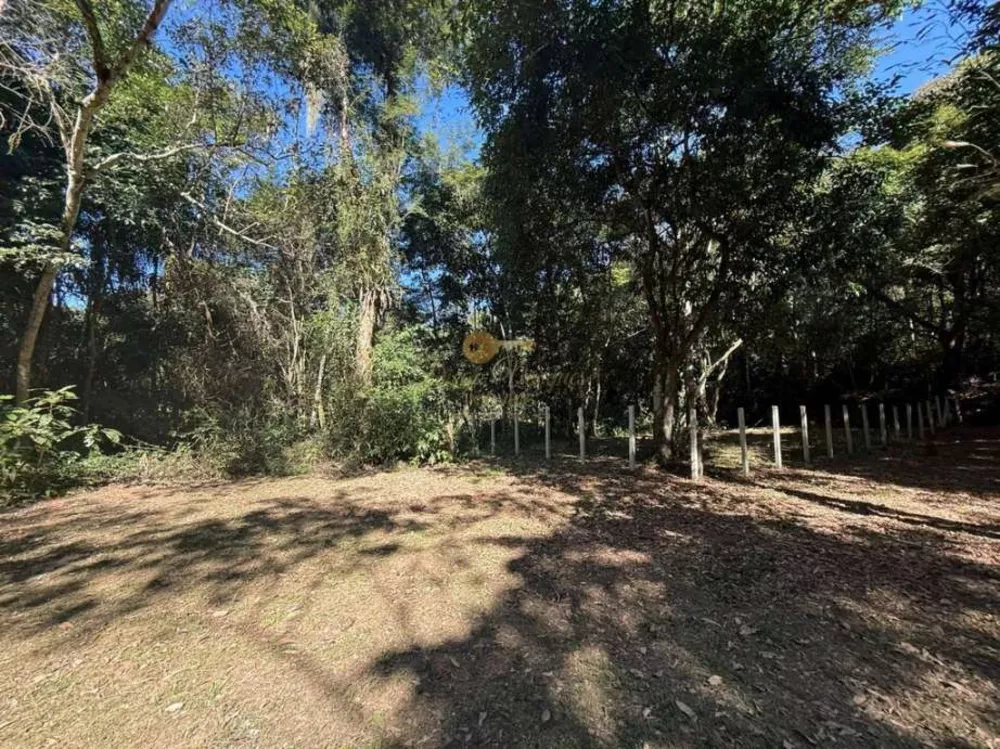 Sítio, 12 hectares - Foto 10