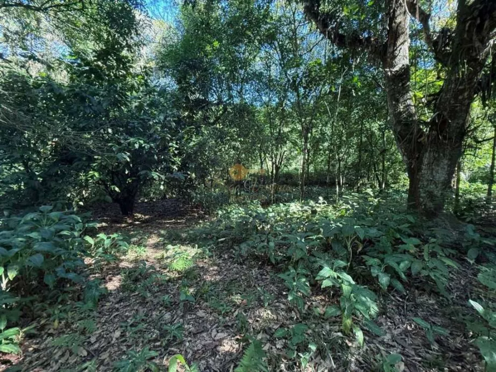 Sítio, 12 hectares - Foto 22
