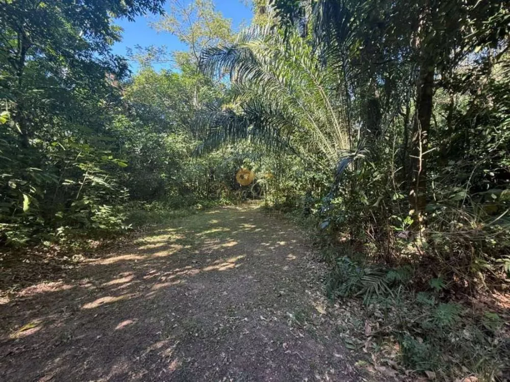 Sítio, 12 hectares - Foto 16