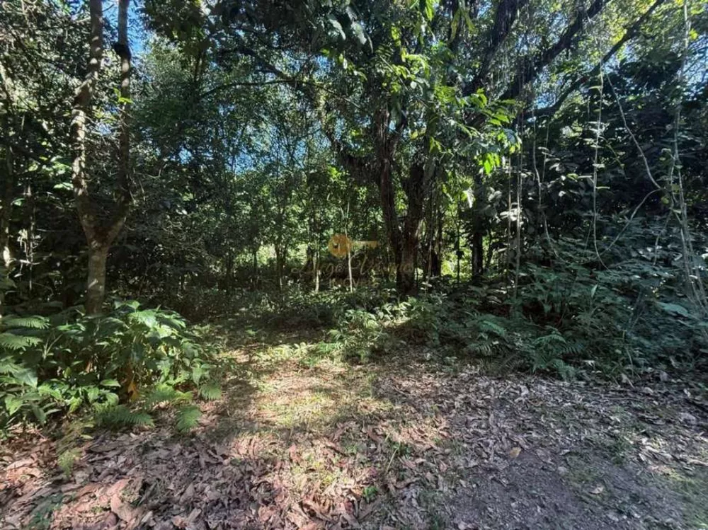 Sítio, 12 hectares - Foto 18