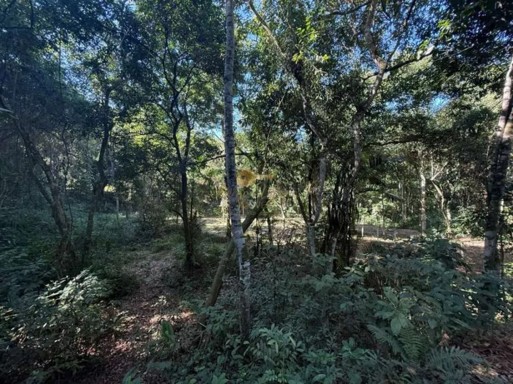 Sítio, 12 hectares - Foto 6