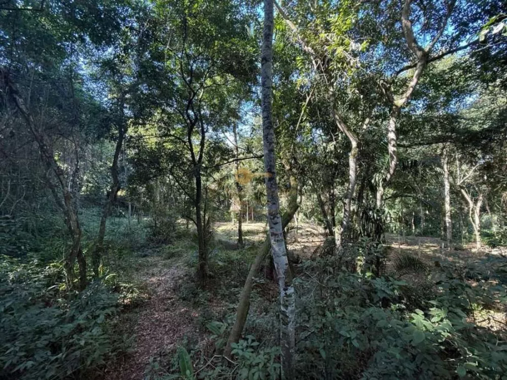 Sítio, 12 hectares - Foto 4