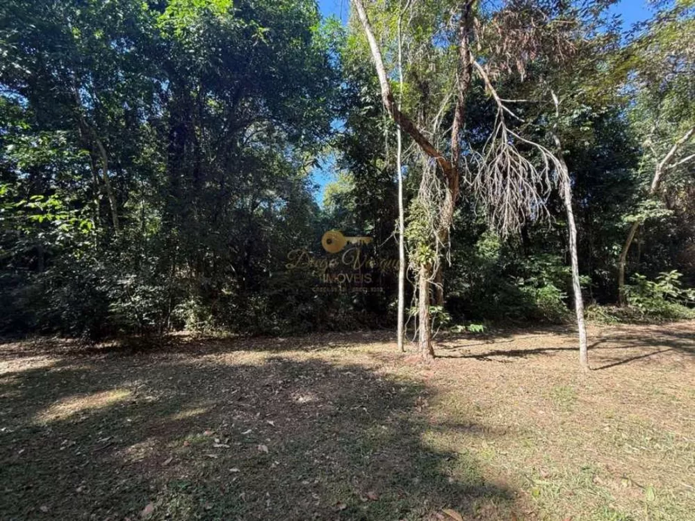 Sítio, 12 hectares - Foto 1