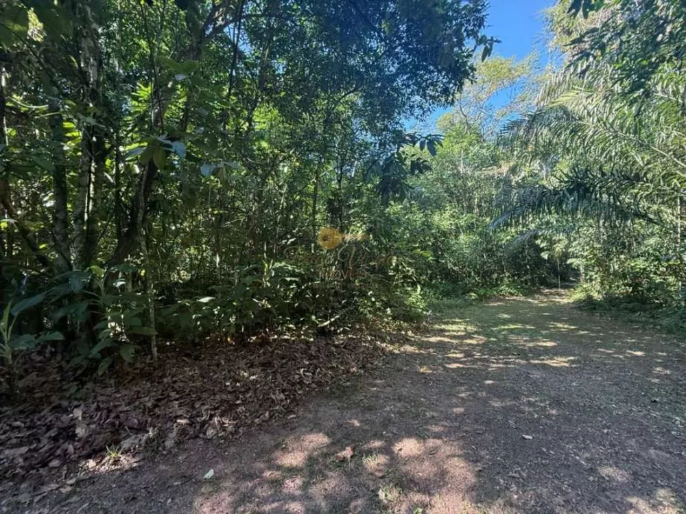 Sítio, 12 hectares - Foto 13