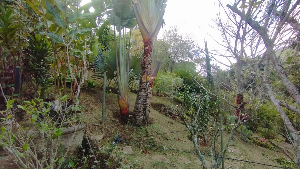 Casa de Condomínio, 4 quartos - Foto 49