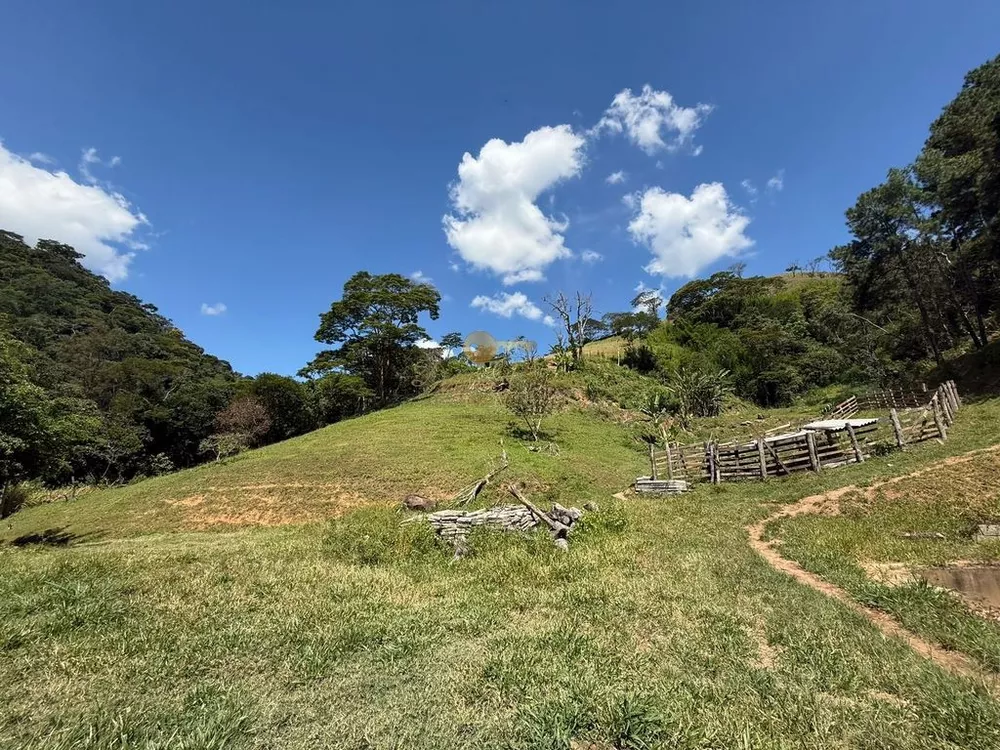 Sítio, 1 quarto, 16 hectares - Foto 13