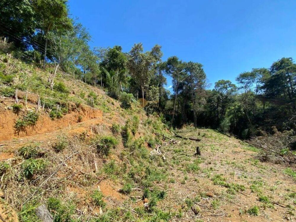 Terreno, 1750 m² - Foto 3