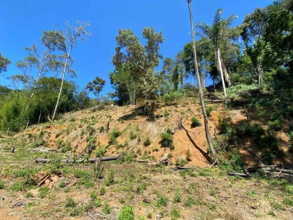 Terreno, 1750 m² - Foto 9