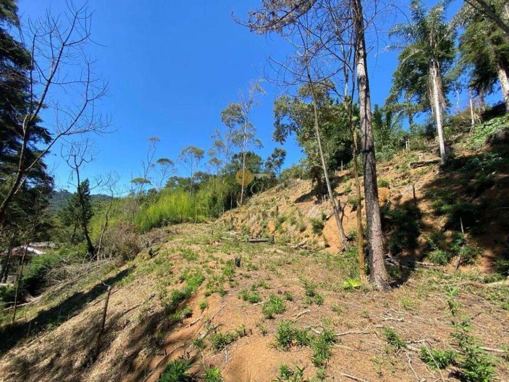 Terreno, 1750 m² - Foto 5