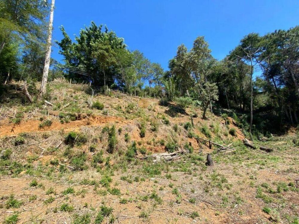 Terreno, 1750 m² - Foto 2