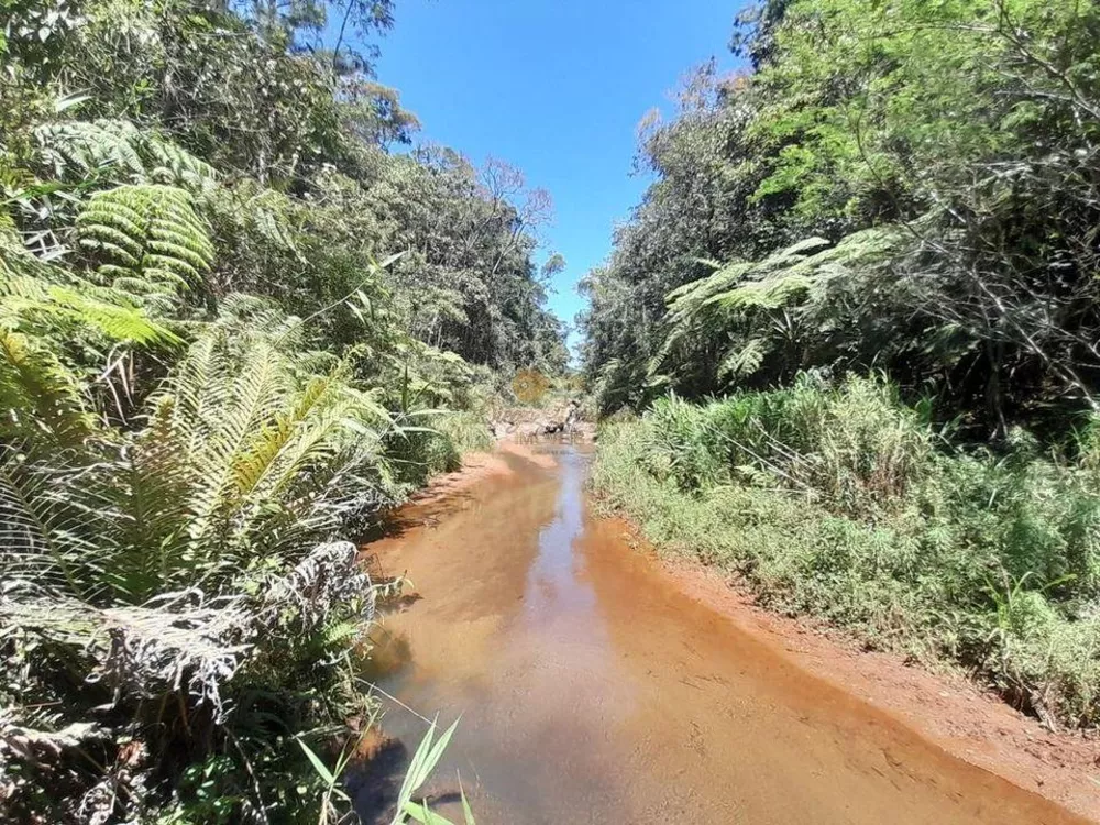 Sítio, 2 quartos, 6 m² - Foto 26